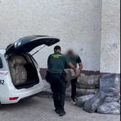 Desmantelada una plantación con 400 plantas de marihuana en un chalet de Villajoyosa Desmantelada una plantación con 400 plantas de marihuana en un chalet de Villajoyosa
