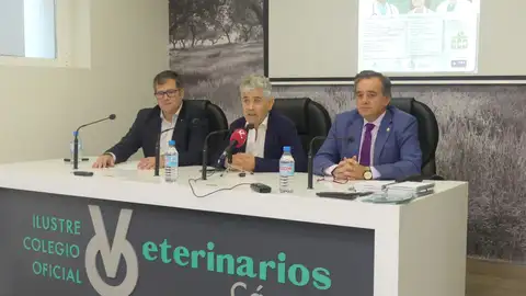 La gripe aviar, la inmunoterapia y los microplásticos centrarán las IV Jornadas One Health en Cáceres La gripe aviar, la inmunoterapia y los microplásticos centrarán las IV Jornadas One Health en Cáceres