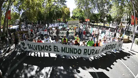 El mundo rural se manifiesta en Madrid contra "el abandono de los pueblos" y las "macrorrenovables"