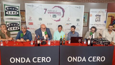 Fiesta de la Vendimia desde Pedro Mu&ntilde;oz (Ciudad Real)