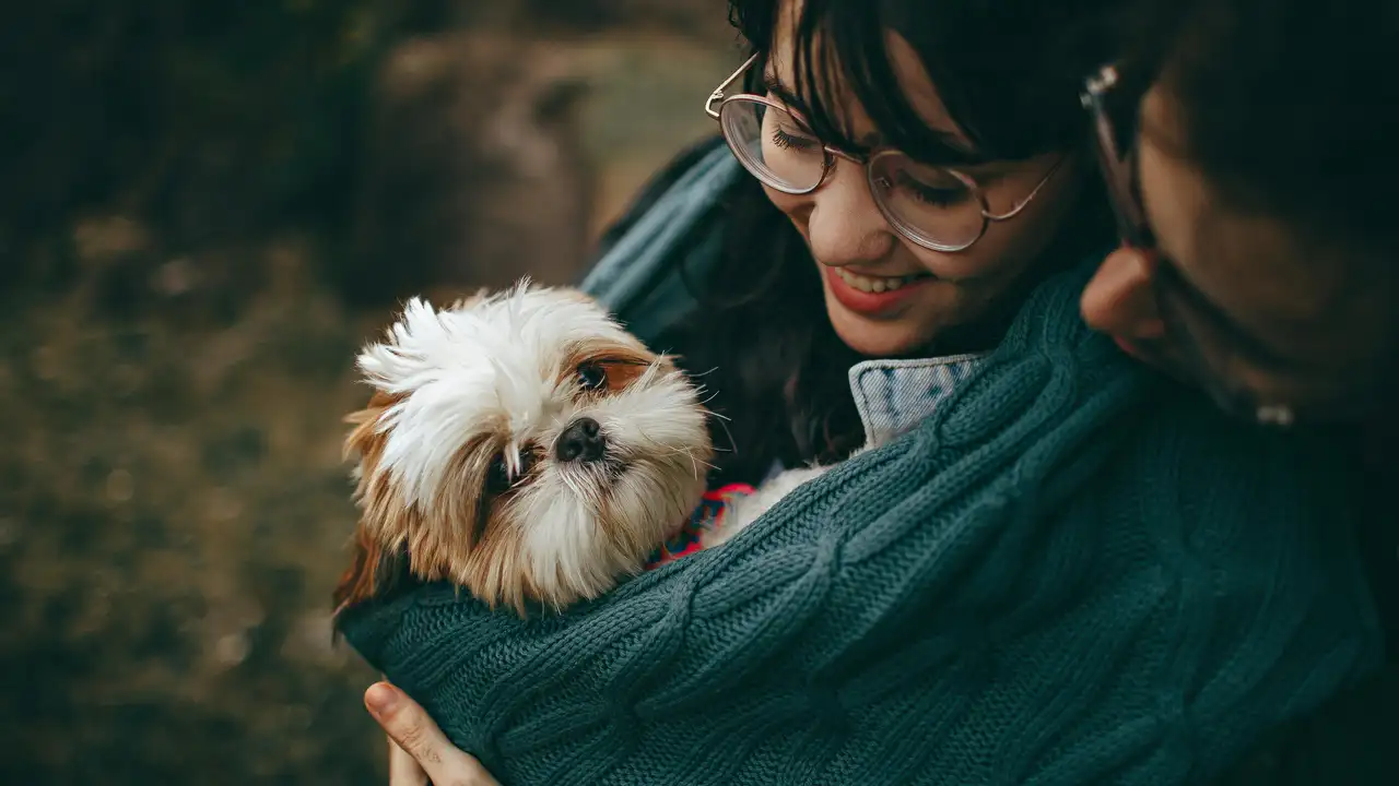 El gasto en mascotas se dispara y alcanza los 165 euros al mes