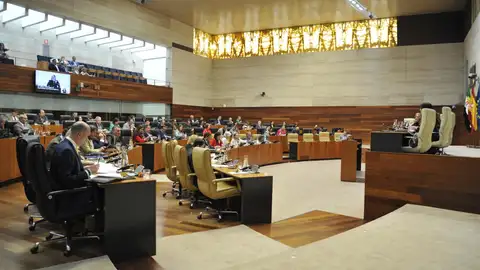 El pleno de este jueves en la Asamblea abordará la aprobación de la Ley de Concordia y la tramitación del proyecto de Uninde El pleno de este jueves en la Asamblea abordará la aprobación de la Ley de Concordia y la tramitación del proyecto de Uninde