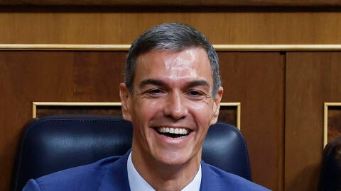 El presidente del Gobierno, Pedro S&aacute;nchez.