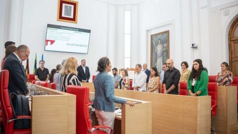 Pleno extraordinario M&eacute;rida