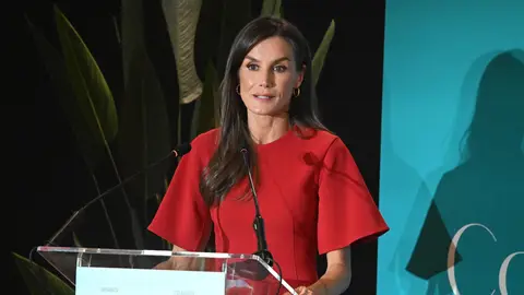 La reina Letizia durante el evento organizado por la Confederación Salud Mental España La reina Letizia durante el evento organizado por la Confederación Salud Mental España