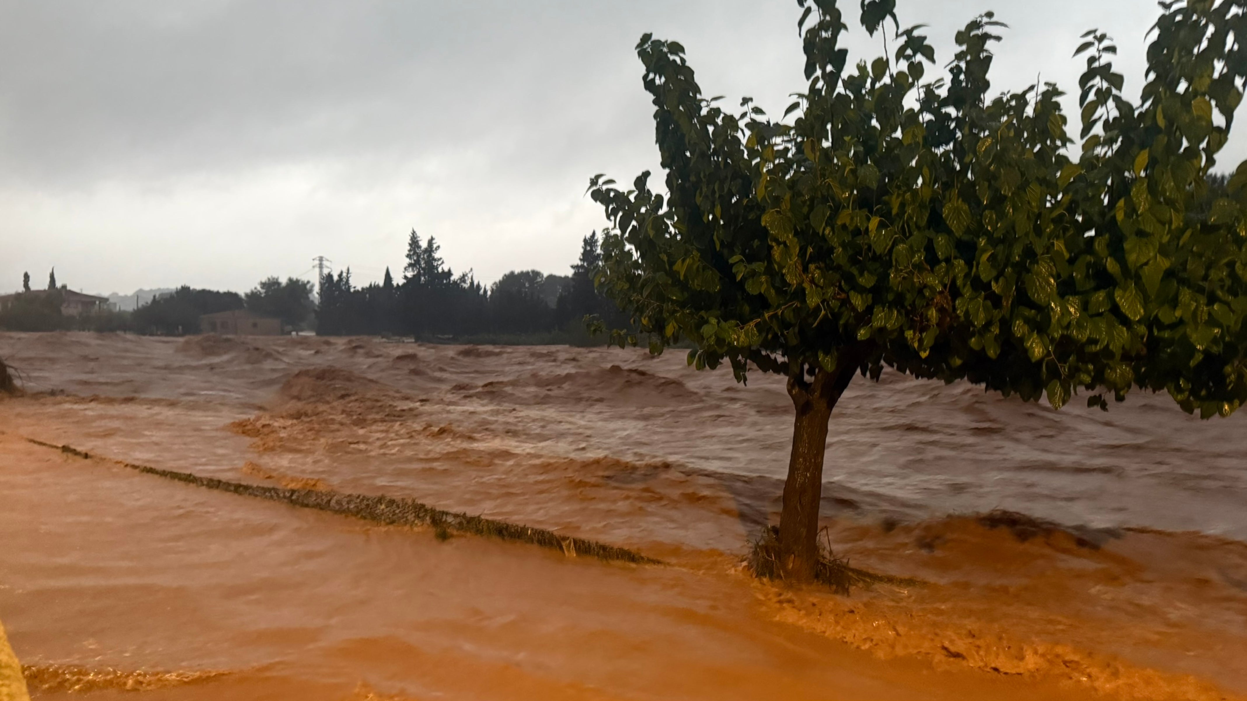 Afectacions pel temporal Afectacions pel temporal