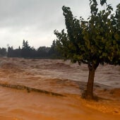 Barranc de la Galera a Masdenverge