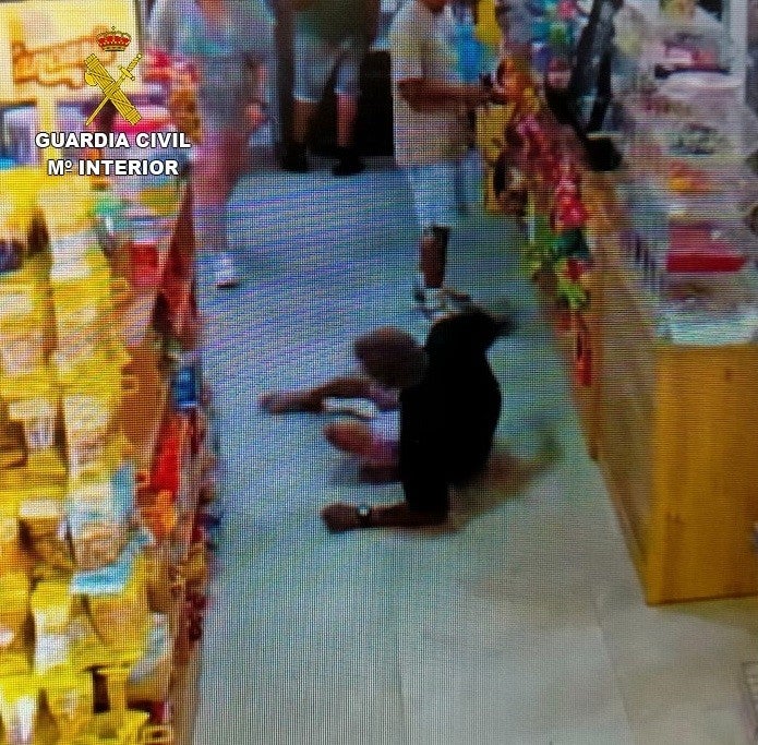 Detienen a once personas en Tomelloso tras numerosos robos con violencia Detienen a once personas en Tomelloso tras numerosos robos con violencia