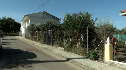 Calle Enrique Tierno Galván de La Codosera, lugar en el que se produjo el atropello mortal de una mujer. Calle Enrique Tierno Galván de La Codosera, lugar en el que se produjo el atropello mortal de una mujer.