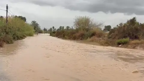 Estado de una de las zonas de barranco de Elche durante las lluvias de este mes de octubre de 2025. Estado de una de las zonas de barranco de Elche durante las lluvias de este mes de octubre de 2025.