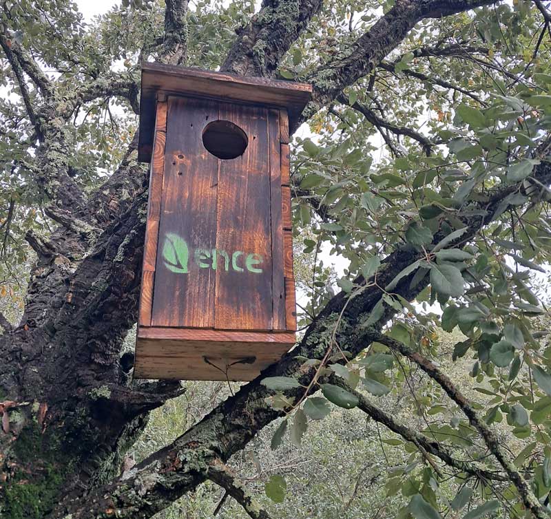 Ence impulsa nuevas medidas para conservar especies y hábitats Ence impulsa nuevas medidas para conservar especies y hábitats