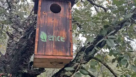 Refugios para aves ENCE Instalación de cajas nido para aves y la creación de refugios artificiales para fauna para mejorar la salud de los ecosistemas forestales