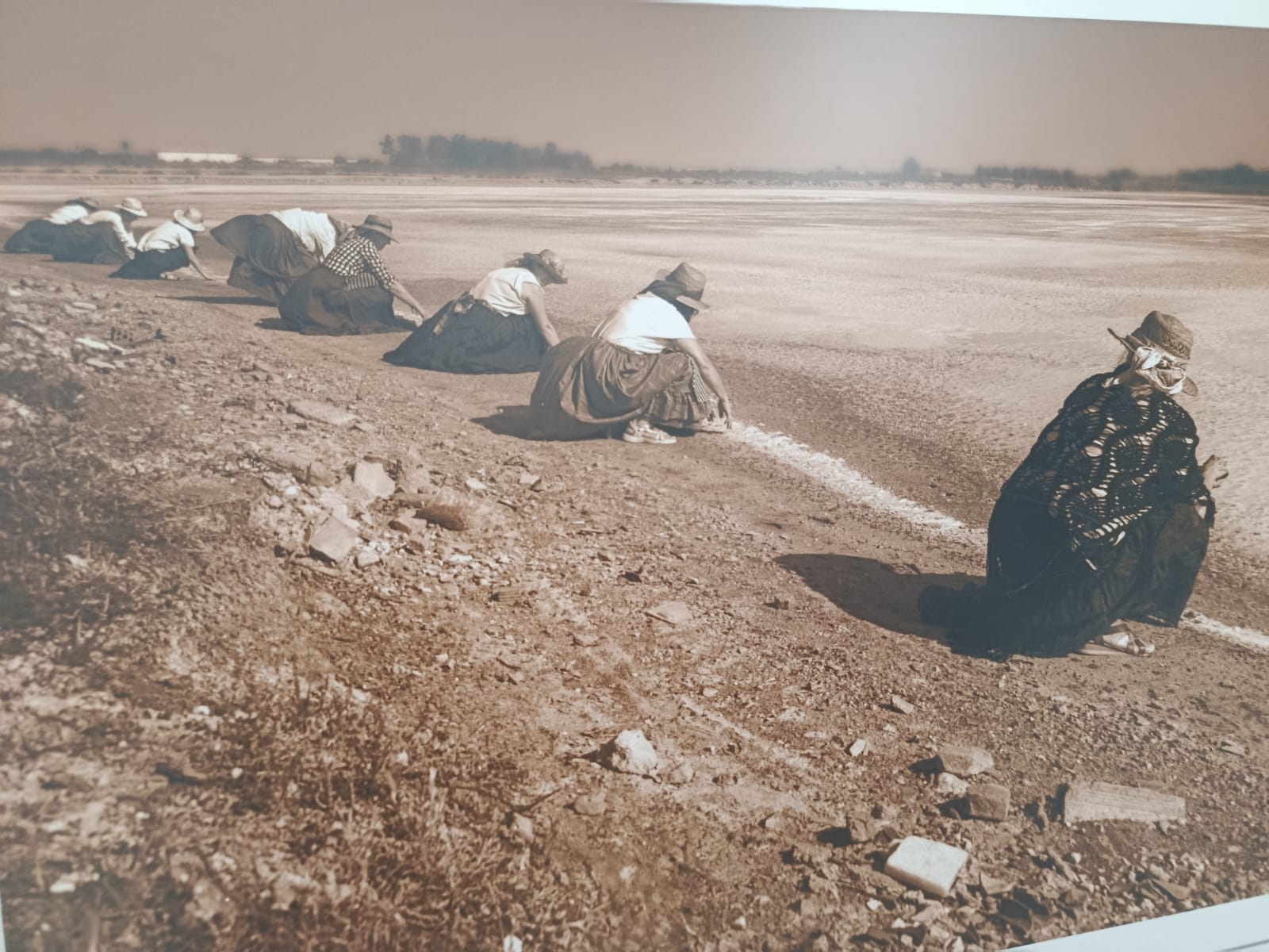 Abierta en la Casa Consistorial de Puerto Real una exposición sobre las salineras Abierta en la Casa Consistorial de Puerto Real una exposición sobre las salineras