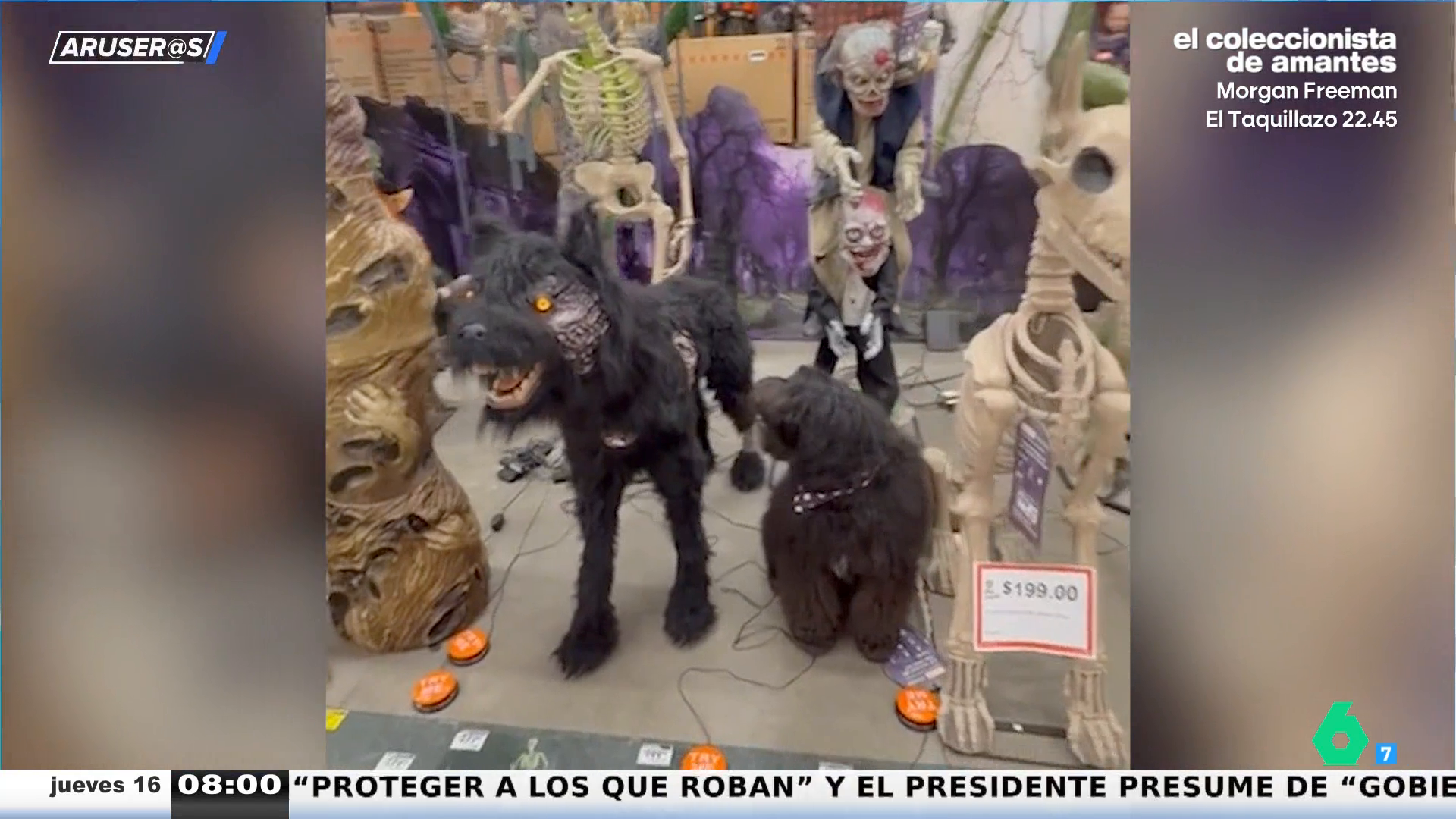 ¿Es bueno disfrazar a los perros en Halloween? Lo que debemos tener en cuenta para su bienestar ¿Es bueno disfrazar a los perros en Halloween? Lo que debemos tener en cuenta para su bienestar