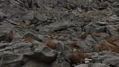 Muere una montañera navarra de 27 años tras precipitarse en el Pico de las Neveras, en Panticosa (Huesca)