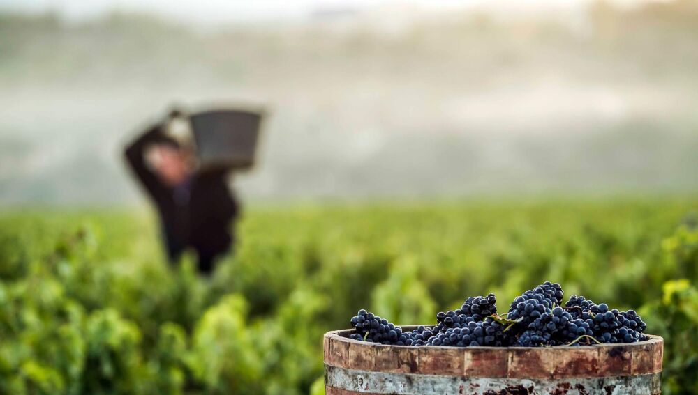Centenario de la Denominación de Origen Calificada Rioja DOCa Rioja