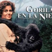 El ciclo de proyecciones ‘Cine crítico’ de la UNED en Torrevieja comienza este martes con ‘Gorilas en la niebla’