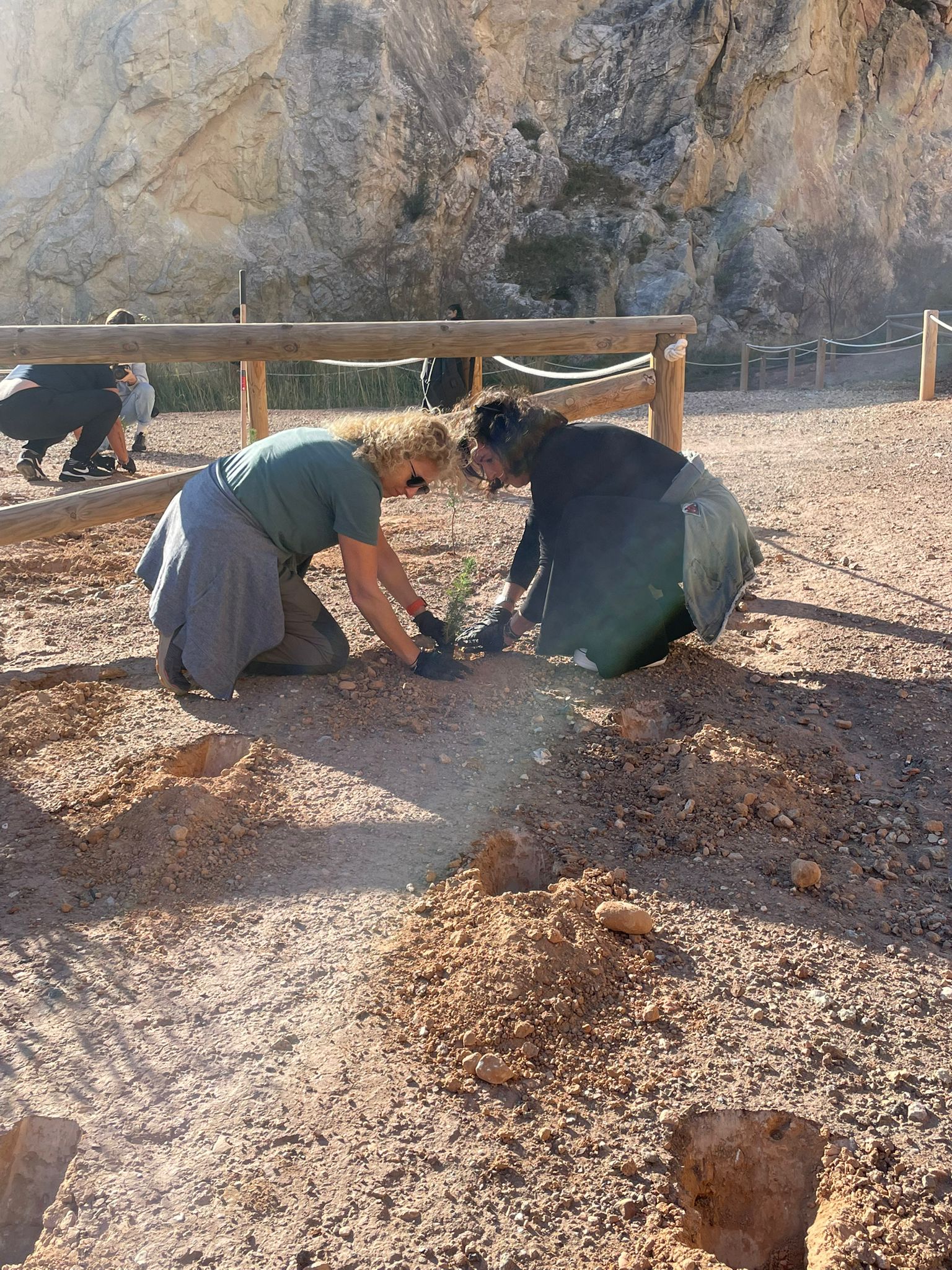 La APHA planta más de 700 árboles en el paraje Clots de la Sal y Monte de la Mola de Novelda La APHA planta más de 700 árboles en el paraje Clots de la Sal y Monte de la Mola de Novelda