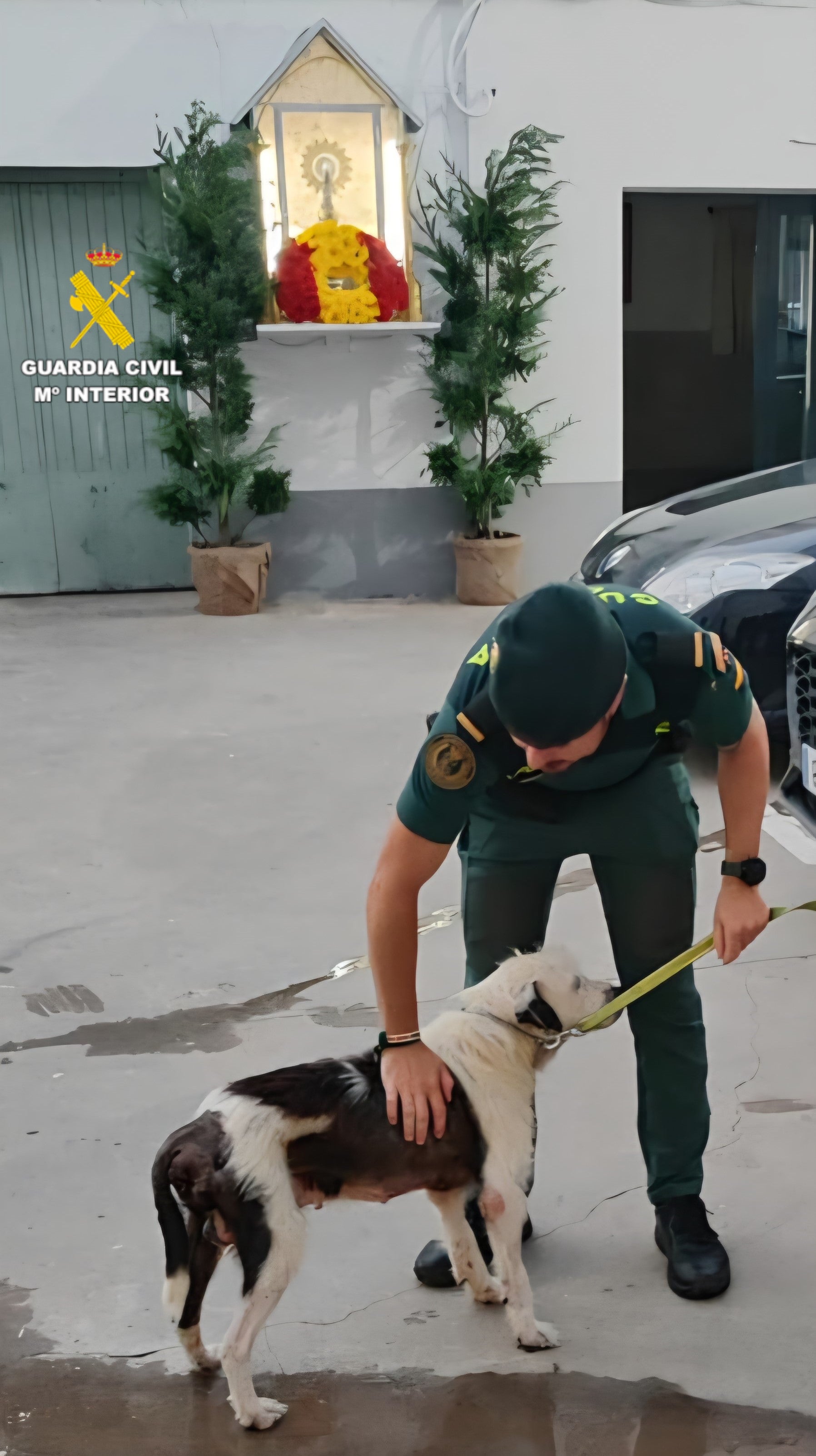 La Guardia Civil salva la vida de un perro en estado crítico en Alquerías del Niño Perdido La Guardia Civil salva la vida de un perro en estado crítico en Alquerías del Niño Perdido
