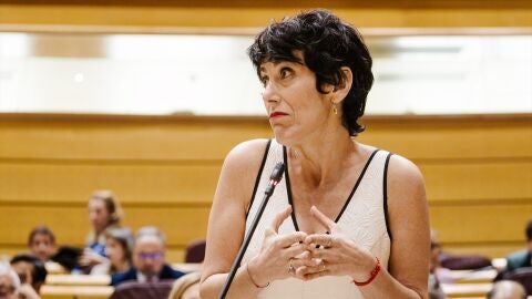 La ministra de Seguridad Social, Elma Saiz, durante una sesi&oacute;n de control al Gobierno en el Senado