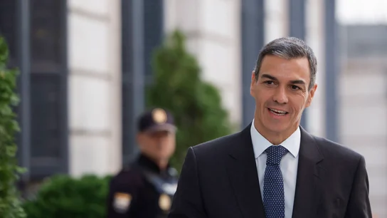 Pedro Sánchez, presidente del Gobierno Pedro Sánchez, presidente del Gobierno/ EFE/Mariscal
