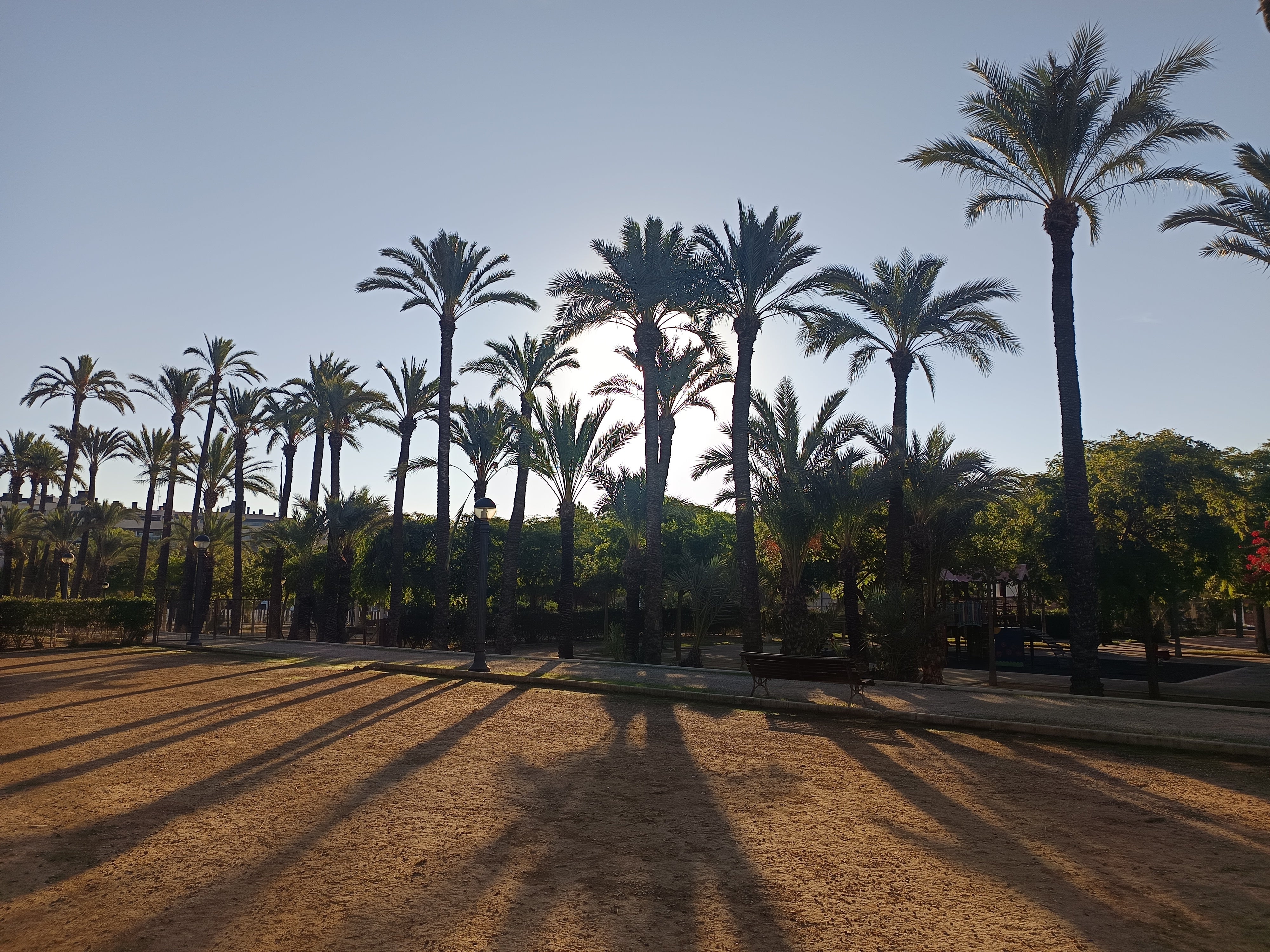 El viento de levante provoca este miércoles un descenso del termómetro de casi diez grados en Elche, Santa Pola y Crevillent El viento de levante provoca este miércoles un descenso del termómetro de casi diez grados en Elche, Santa Pola y Crevillent