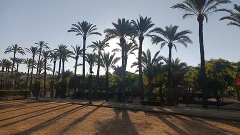Parque en Elche. Parque en Elche.