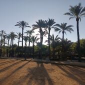 Parque en Elche.