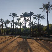 Parque en Elche. Parque en Elche.