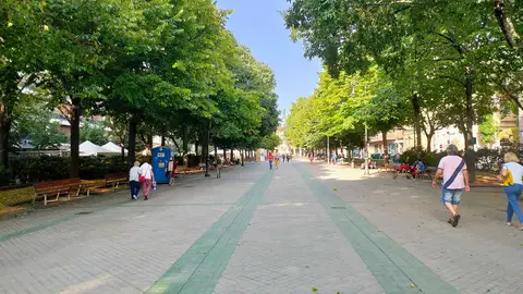 La Institución Príncipe de Viana ha autorizado el proyecto de reurbanización del Paseo de Sarasate La Institución Príncipe de Viana ha autorizado el proyecto de reurbanización del Paseo de Sarasate