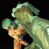 Una imagen de archivo de la propuesta 'Dormitorium'