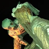 Una imagen de archivo de la propuesta 'Dormitorium' Una imagen de archivo de la propuesta 'Dormitorium'