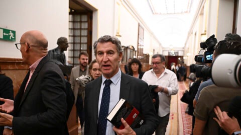El presidente del PP, Alberto Núñez Feijóo, este martes, en el Pleno del Congreso de los Diputados celebrado en Madrid. EFE/ Fernando Villar El presidente del PP, Alberto Núñez Feijóo, este martes, en el Pleno del Congreso de los Diputados celebrado en Madrid. EFE/ Fernando Villar
