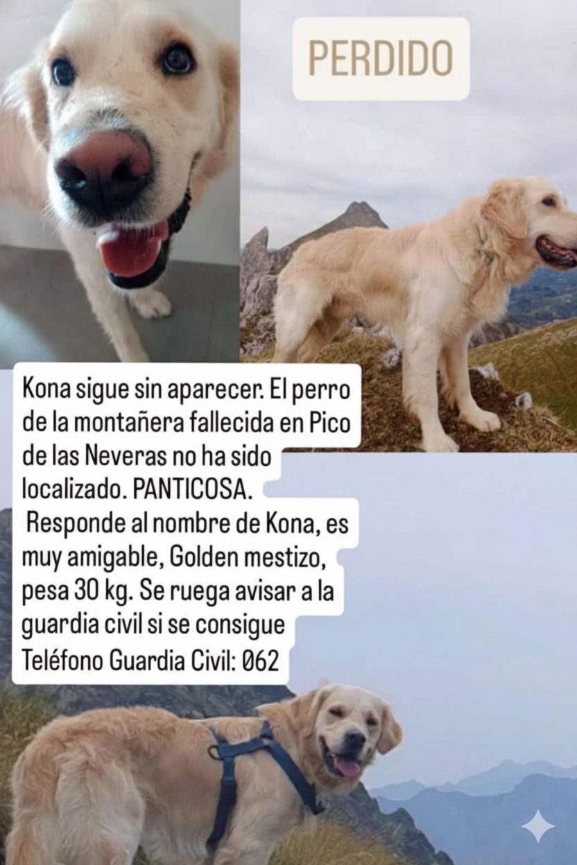 Se busca a Kona, el perro de la montañera navarra que falleció en Panticosa Se busca a Kona, el perro de la montañera navarra que falleció en Panticosa