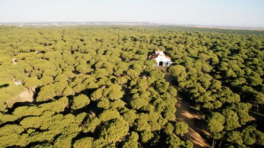 Naturaleza, tradición y gastronomía. Aljaraque, protagonista en la quinta temporada de Reto Demográfico de Onda Cero. Naturaleza, tradición y gastronomía. Aljaraque, protagonista en la quinta temporada de Reto Demográfico de Onda Cero.