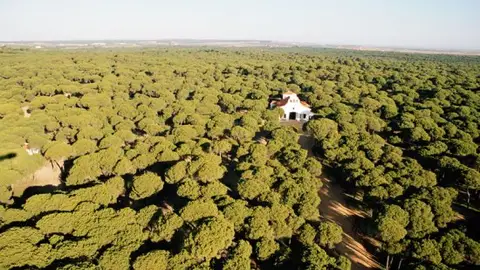 Naturaleza, tradición y gastronomía. Aljaraque, protagonista en la quinta temporada de Reto Demográfico de Onda Cero. Naturaleza, tradición y gastronomía. Aljaraque, protagonista en la quinta temporada de Reto Demográfico de Onda Cero.