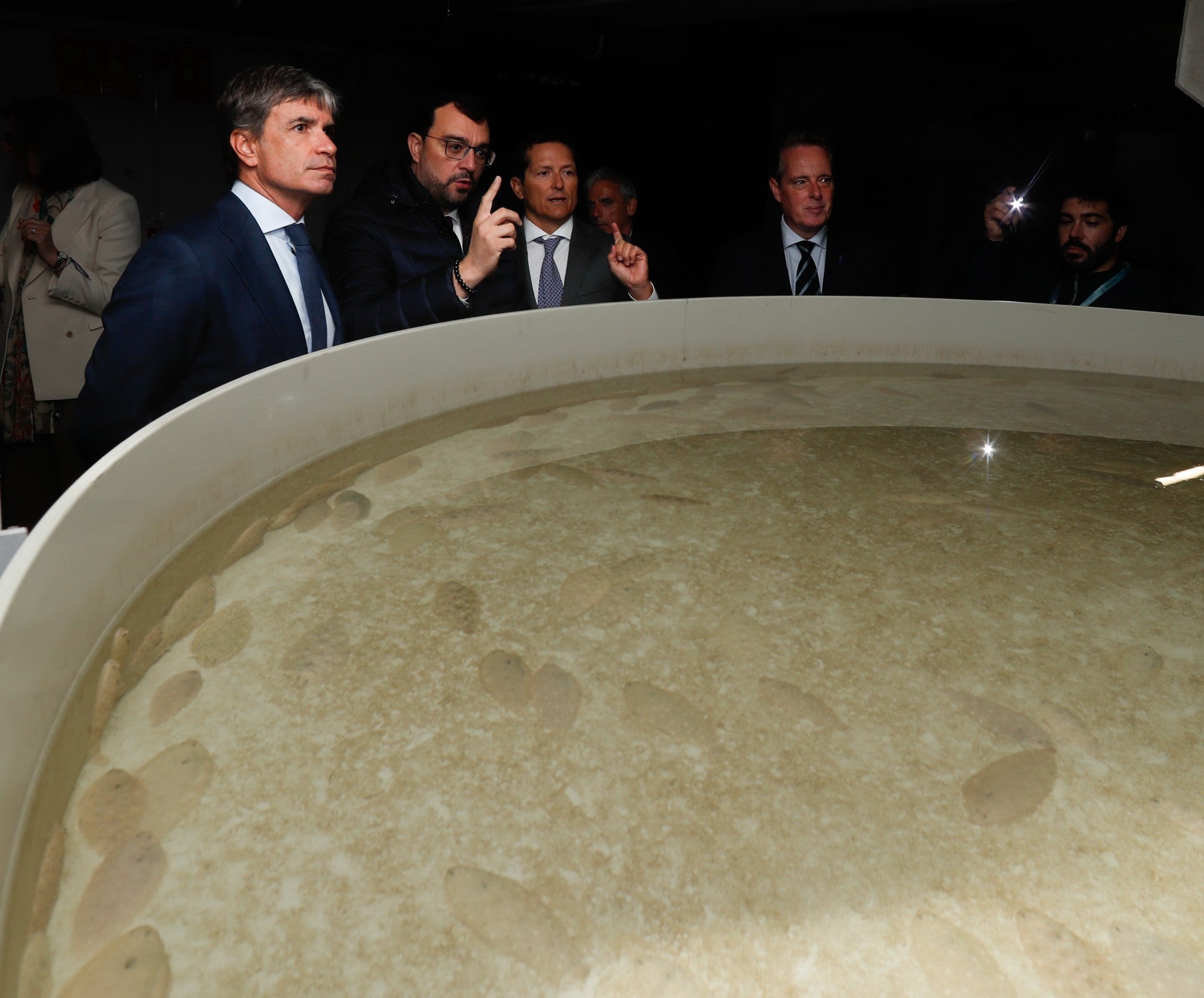 El mundo entero come lenguado de Gijón El mundo entero come lenguado de Gijón