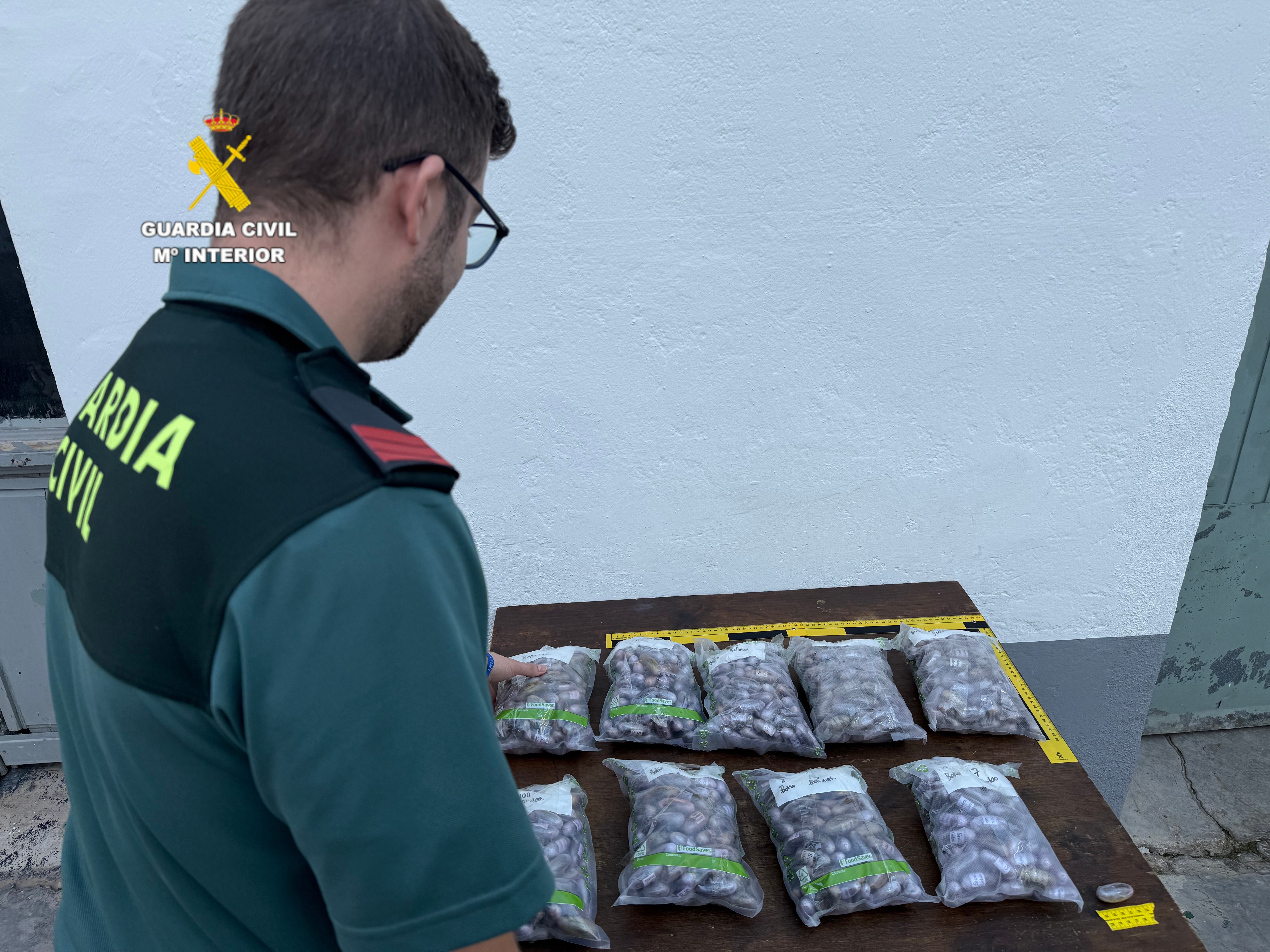 La Guardia Civil intercepta y detiene al ocupante de un vehículo con más de 9,5 kilos de hachís en la AP-7 La Guardia Civil intercepta y detiene al ocupante de un vehículo con más de 9,5 kilos de hachís en la AP-7