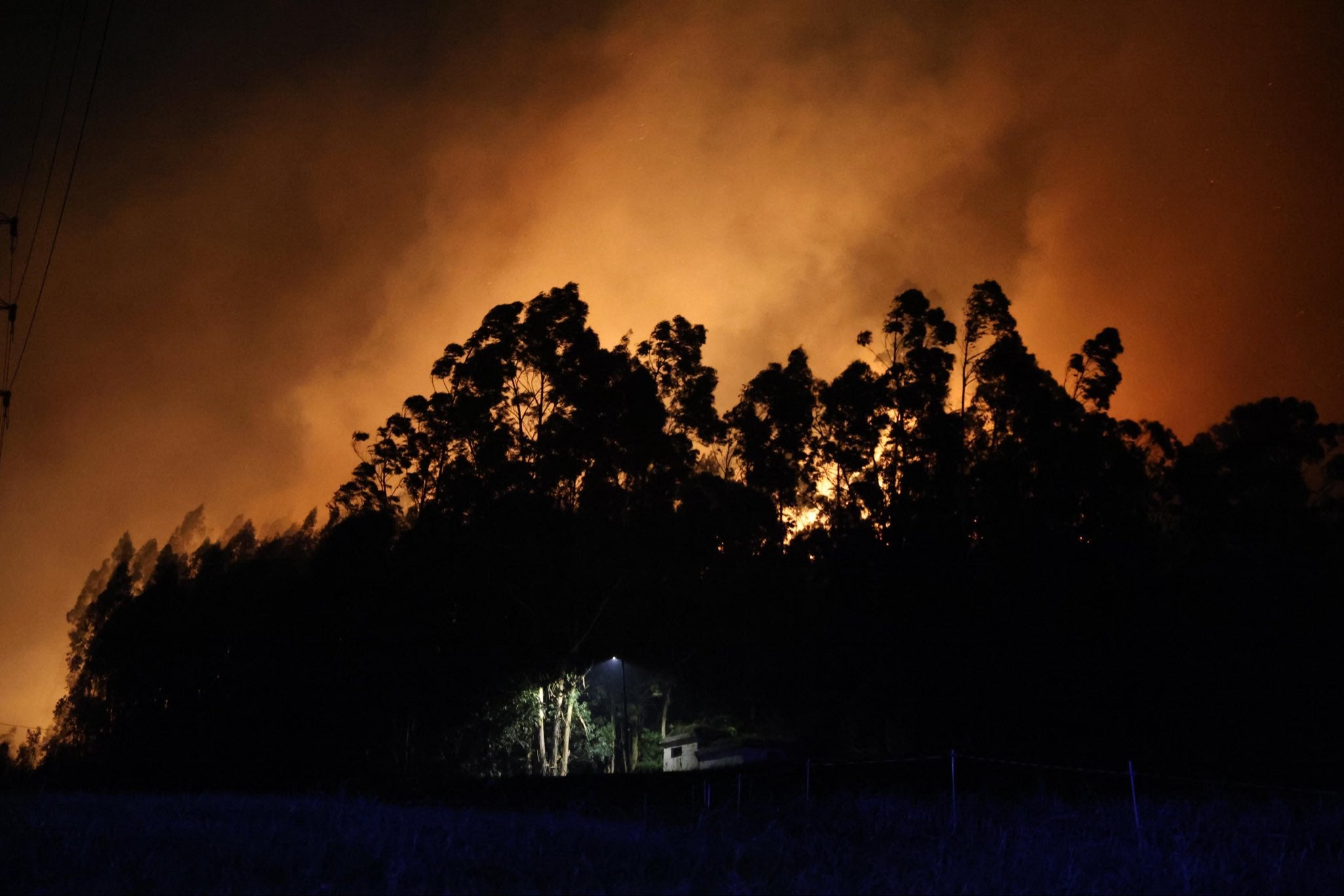 "Llevamos de espaldas a nuestros montes 60 años": por qué la sobreproducción de biomasa agrava los grandes incendios "Llevamos de espaldas a nuestros montes 60 años": por qué la sobreproducción de biomasa agrava los grandes incendios