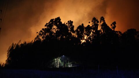 Incendio en el monte Areo de Gij&oacute;n