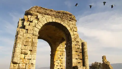 Expertos alemanes en el Camino de Santiago conocen la Vía de la Plata a su paso por Extremadura Expertos alemanes en el Camino de Santiago conocen la Vía de la Plata a su paso por Extremadura