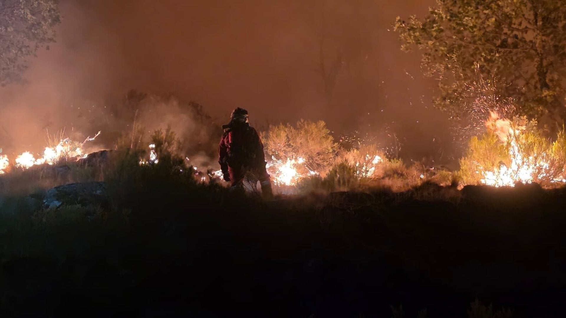 APAG Extremadura Asaja ve "totalmente insuficientes" las ayudas del Gobierno para agricultores afectados por incendios APAG Extremadura Asaja ve "totalmente insuficientes" las ayudas del Gobierno para agricultores afectados por incendios