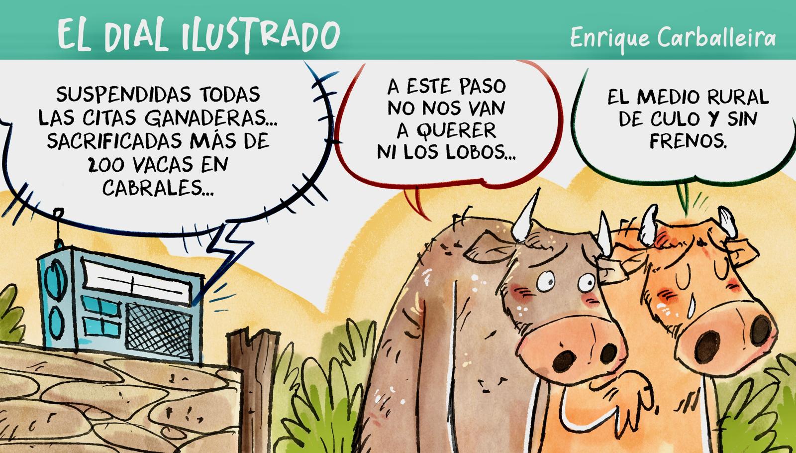 El Dial Ilustrado 24/10/2025 El Dial Ilustrado 24/10/2025