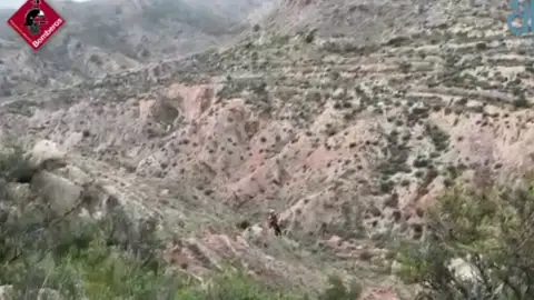 Momento de uno de los rescates realizados en Crevillent por los bomberos. Momento de uno de los rescates realizados en Crevillent por los bomberos.