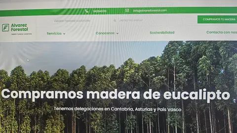 Álvarez Forestal Álvarez Forestal