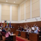 Imagen del pleno celebrado en Chiclana