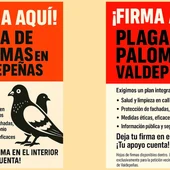 Carteles de la recogida de firmas para declara la plaga de palomas Carteles de la recogida de firmas para declara la plaga de palomas