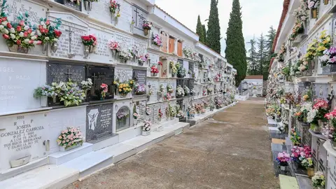 El Cementerio tendrá horario de 9 de la mañana a 20 horas, de forma ininterrumpida, en la festividad de Todos los Santos El Cementerio tendrá horario de 9 de la mañana a 20 horas, de forma ininterrumpida, en la festividad de Todos los Santos