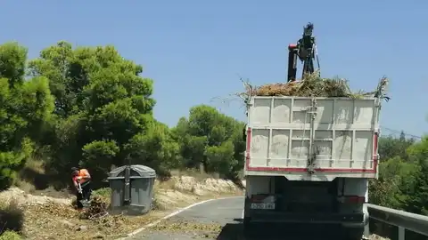 El camión recogiendo la poda El camión recogiendo la poda