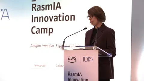 Imagen de la presentación del programa RasmIA Imagen de la presentación del programa RasmIA